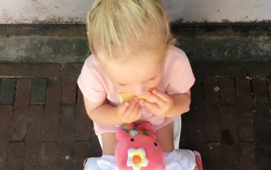 How we Potty Trained our Daughter Before her Second Birthday - Columns by  Kari