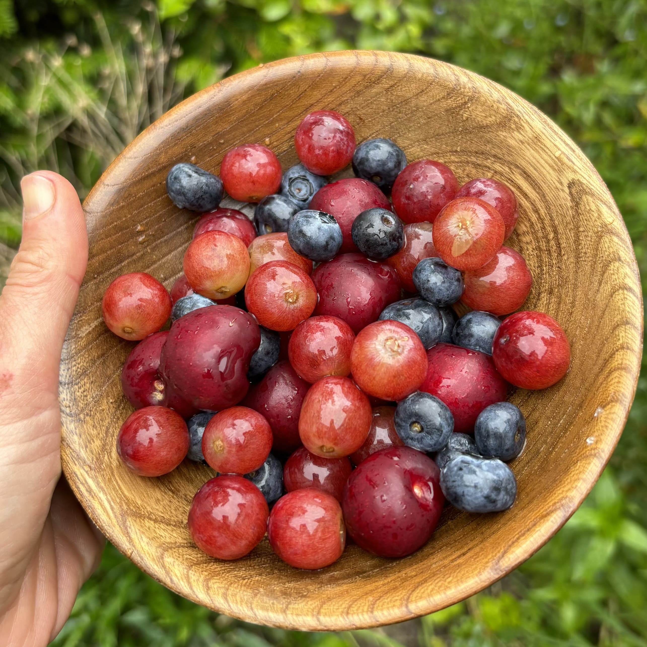 zomerfruit