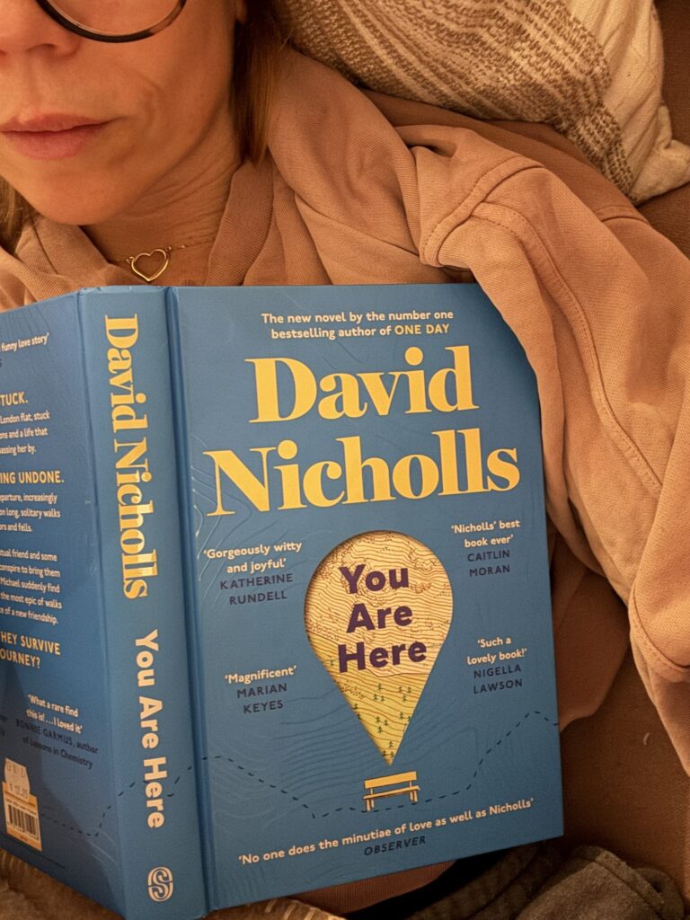 You are here van David Nicholls