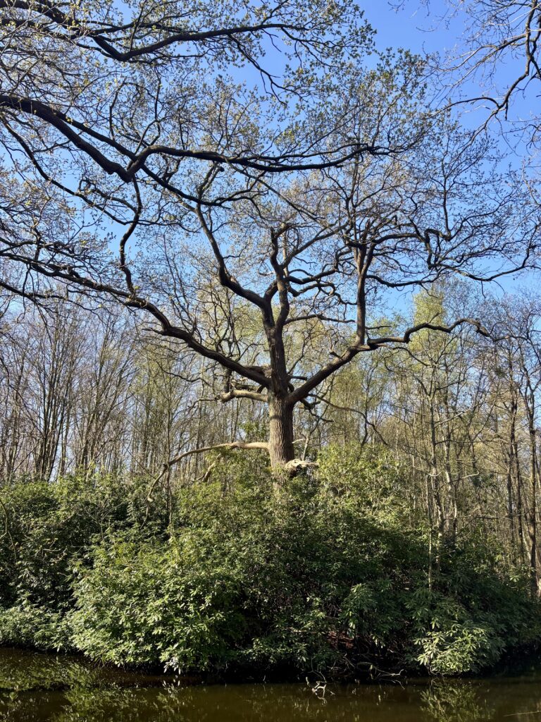klimaatverandering earth day
