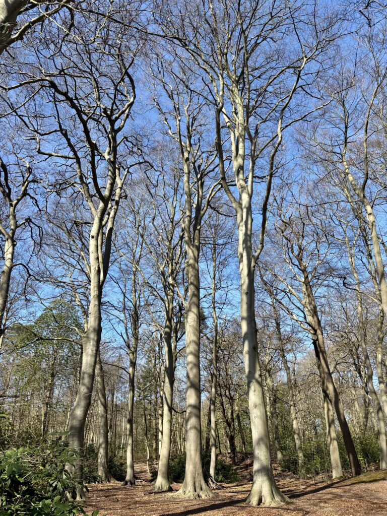 earth day