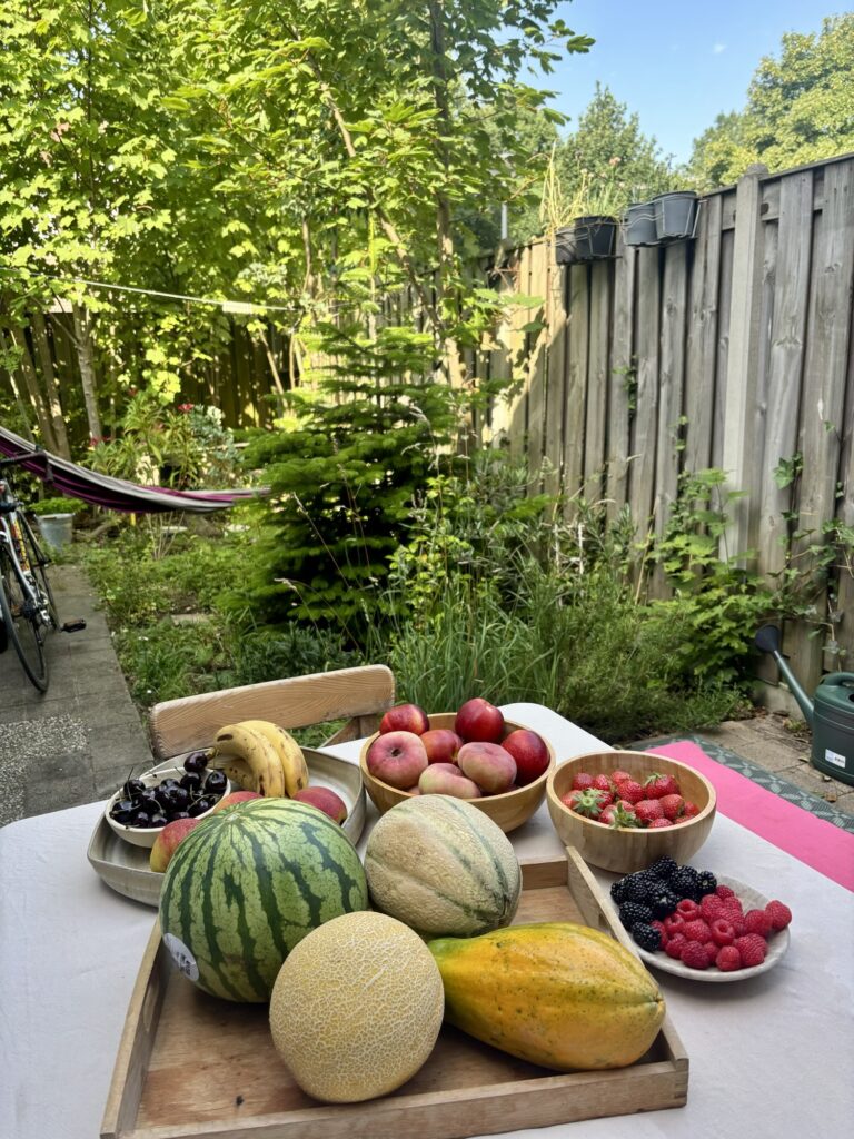 zomerfruit