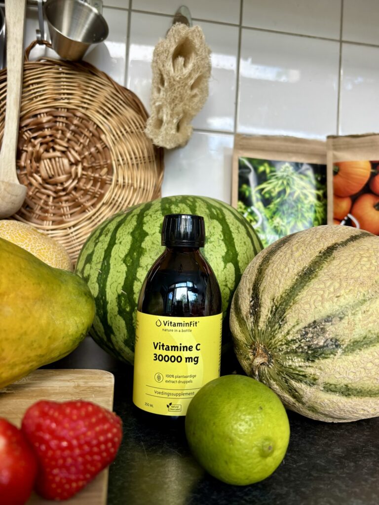 vegan ijsjes vrij van toegevoegde suikers