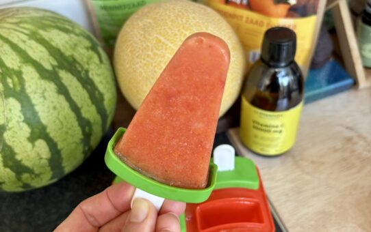 vegan ijsjes vrij van toegevoegde suikers