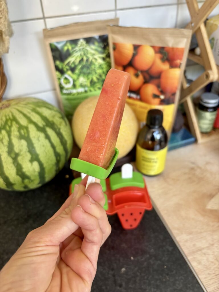 vegan ijsjes vrij van toegevoegde suikers