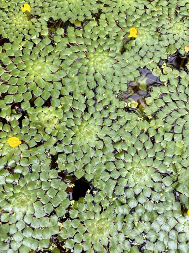 ruzie maken is goed voro je relatie