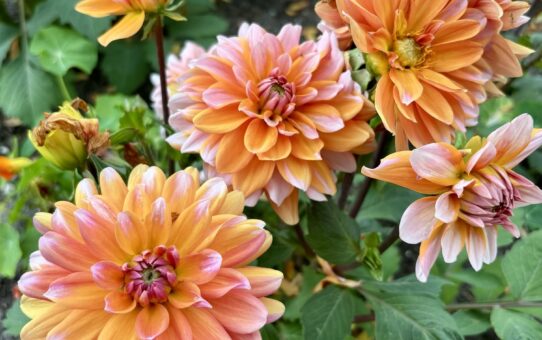 goed ruzie maken met je partner