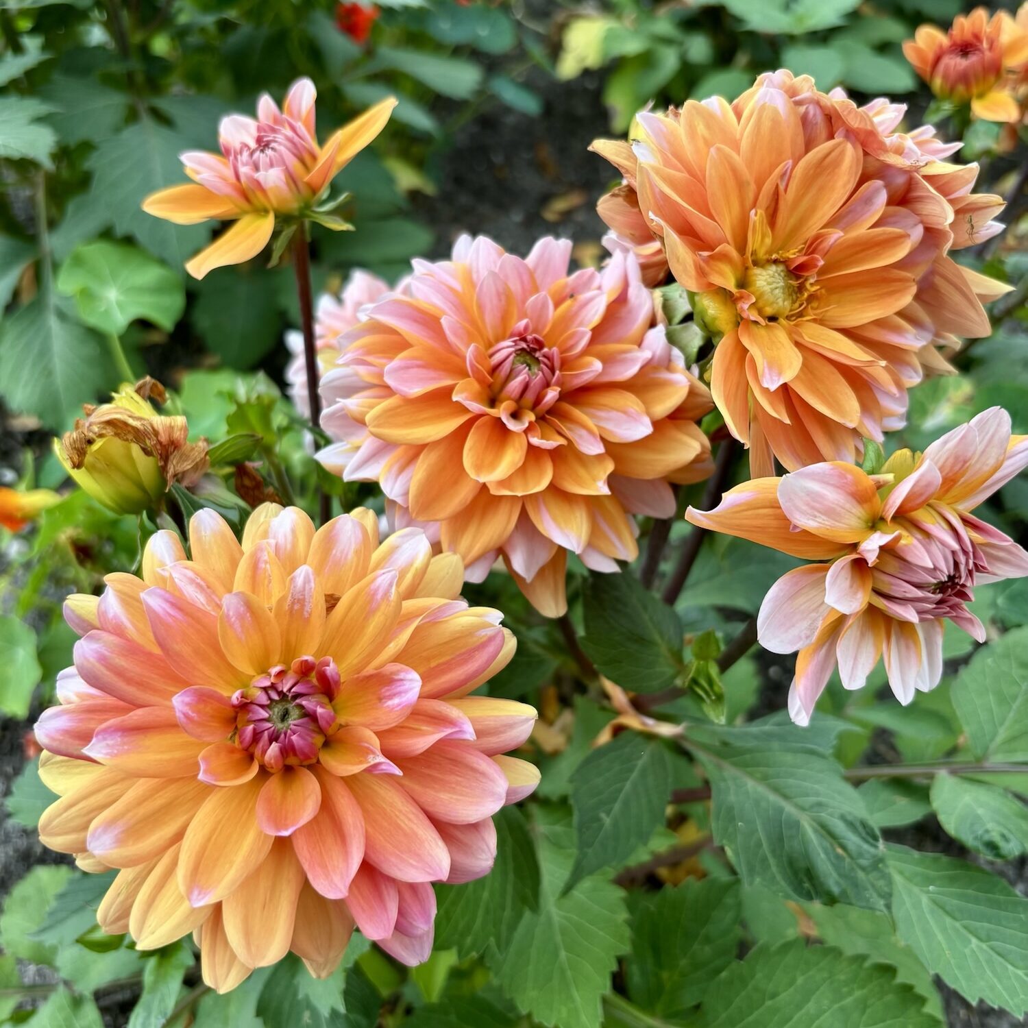 goed ruzie maken met je partner