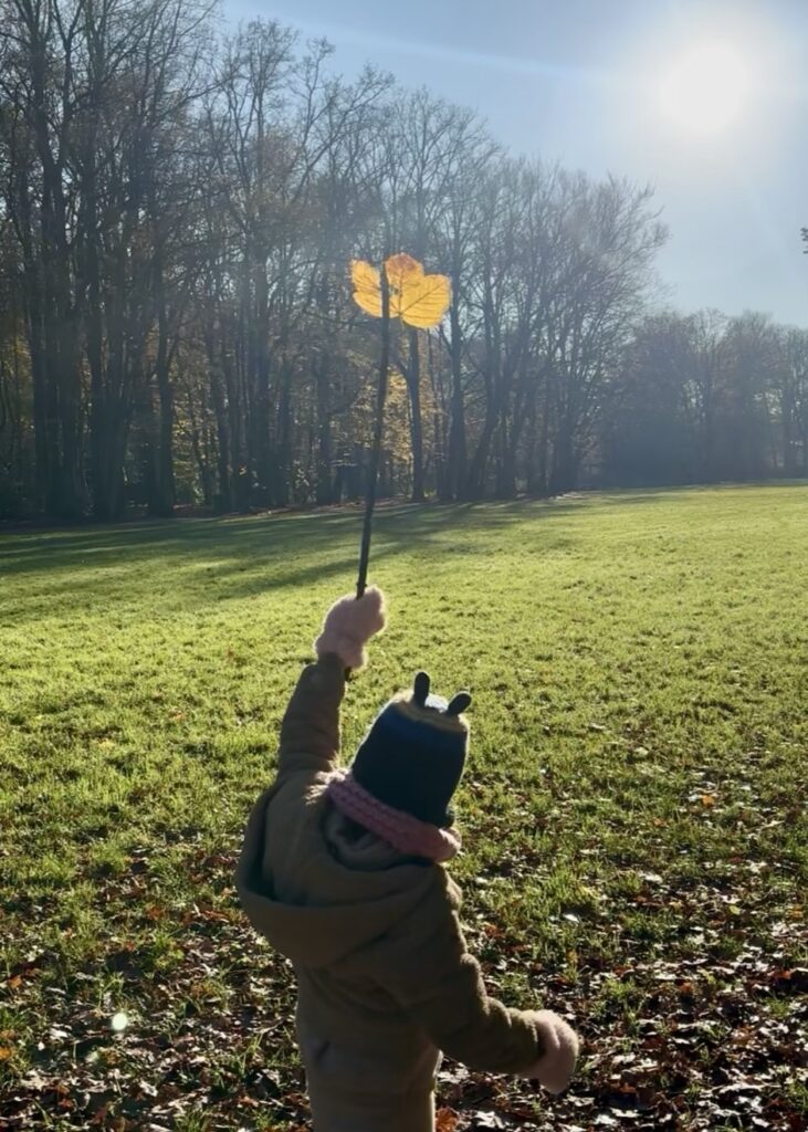 Spaarrekening triodos