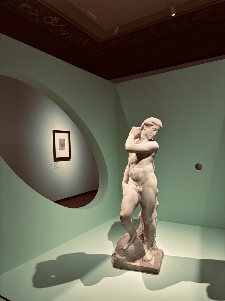 Michelangelo Haarlem