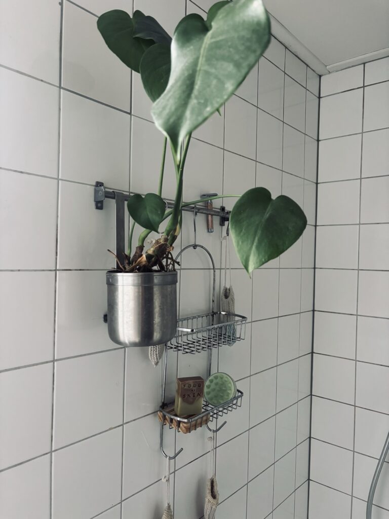 Natuurlijke huidverzorging Food for Skin