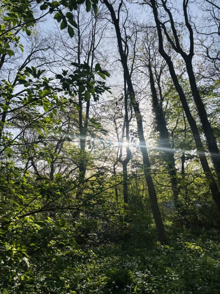 Verandering brengen in slechte gewoonten