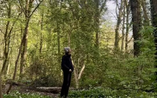 De vier seizoenen van verandering