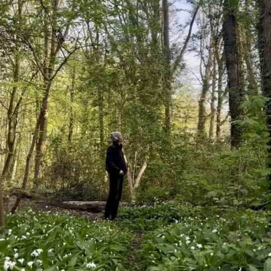 De vier seizoenen van verandering