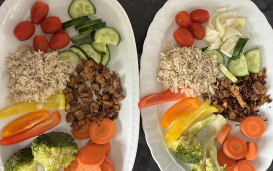 Vegan kinderen