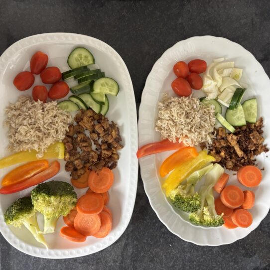 Vegan kinderen