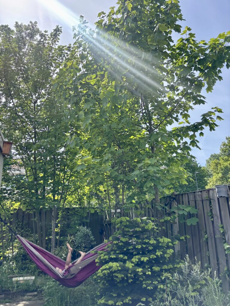 Buitengids