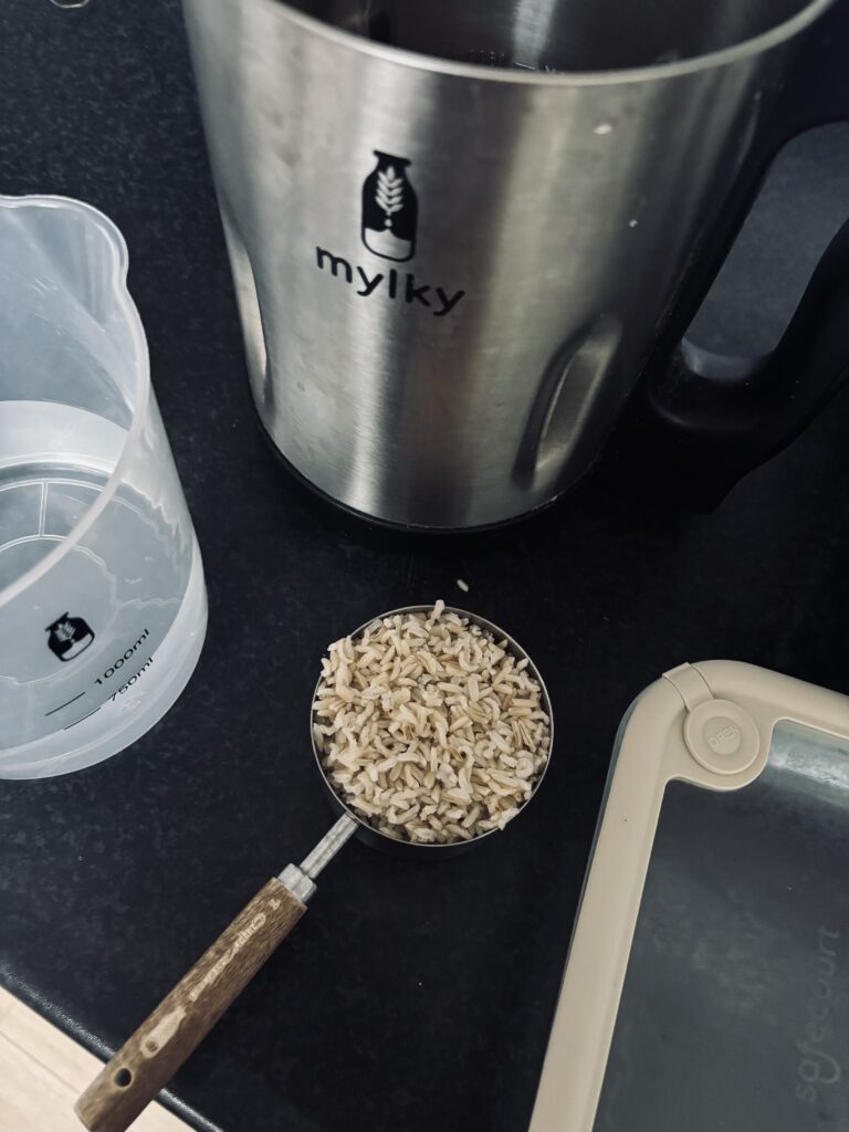 Vegan rijstepap maken