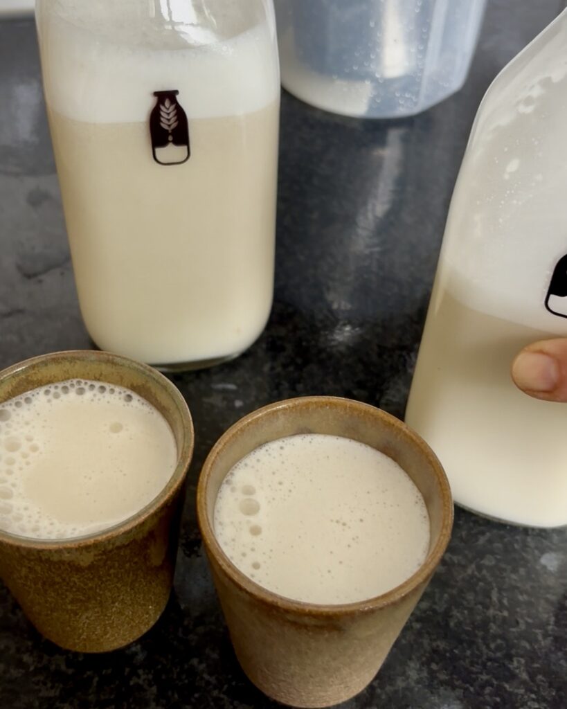 Vegan melk maken