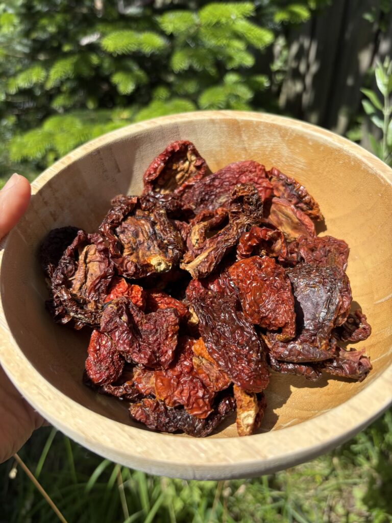 Vegan tomaten pesto