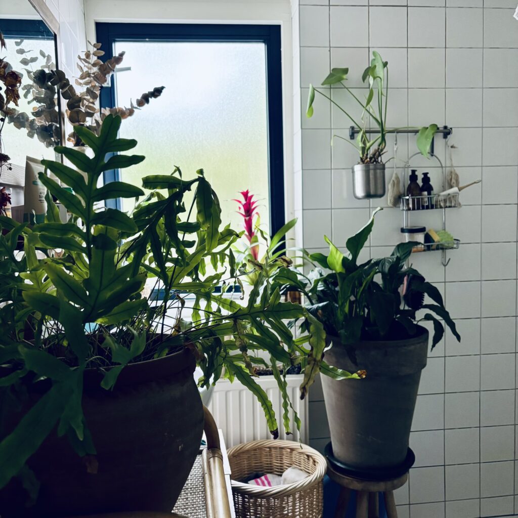 De groene mama badkamer